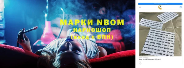 сатива Белоозёрский