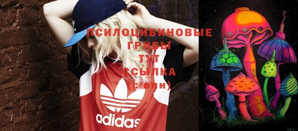 сатива Белоозёрский