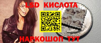 бошки Сланцы