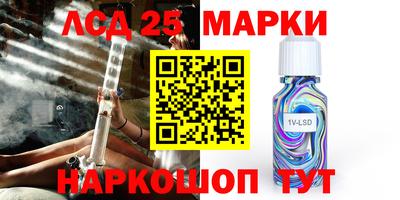 бошки Сланцы
